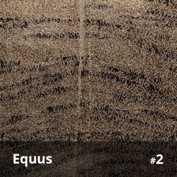 Equus 2